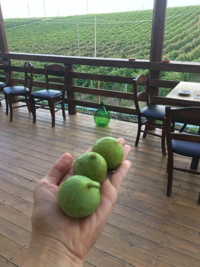 Tenuta Lagala